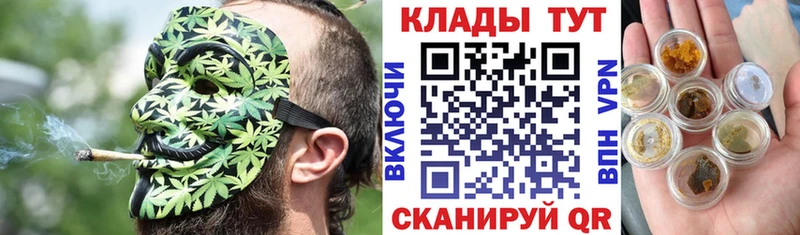 Купить закладку Дедовск Канабис Кокаин Альфа ПВП МДМА Меф мяу мяу