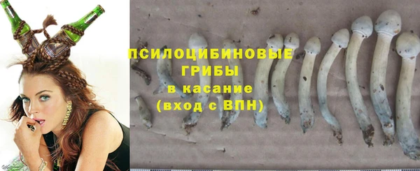 кокс Алзамай