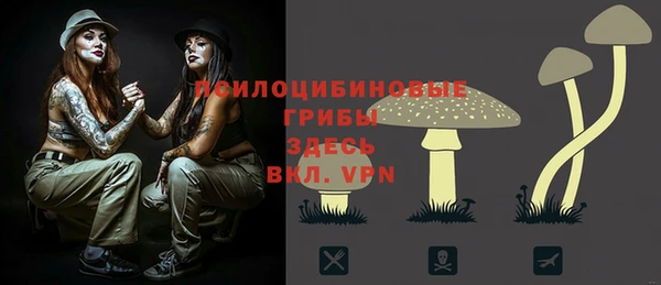 кокс Алзамай
