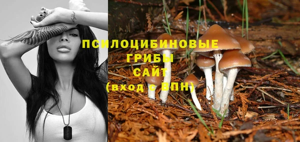крисы Алексеевка