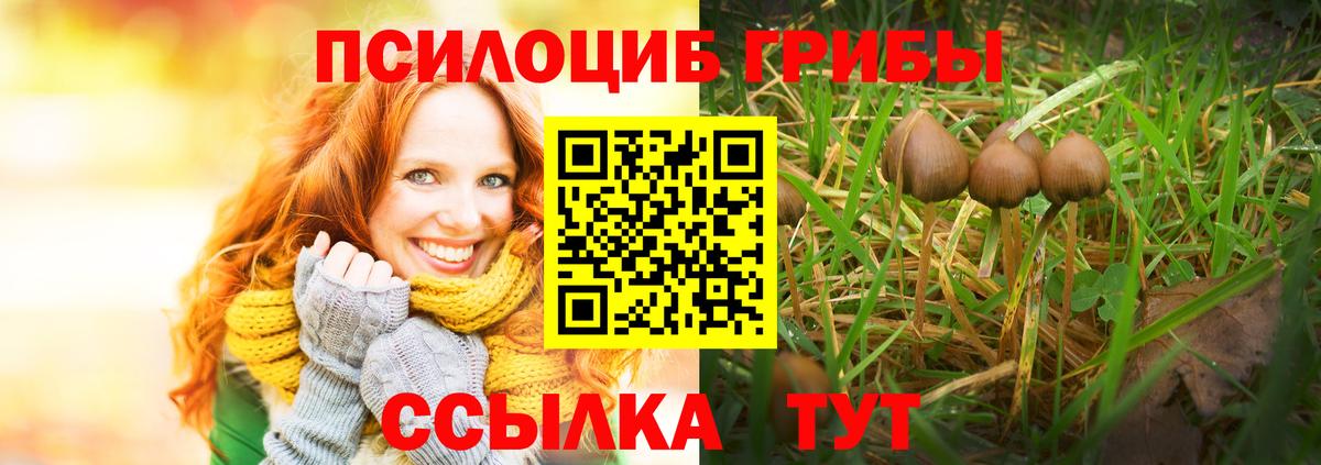 Галлюциногенные грибы прущие грибы Дедовск