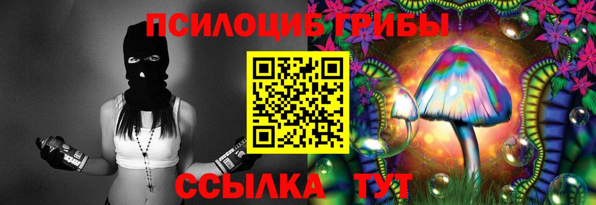 Дедовск  Галлюциногенные грибы прущие грибы  Вход с VPN 